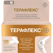 Терафлекс капс. N120