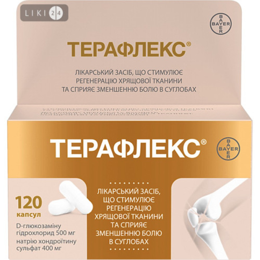 Терафлекс капс. N120